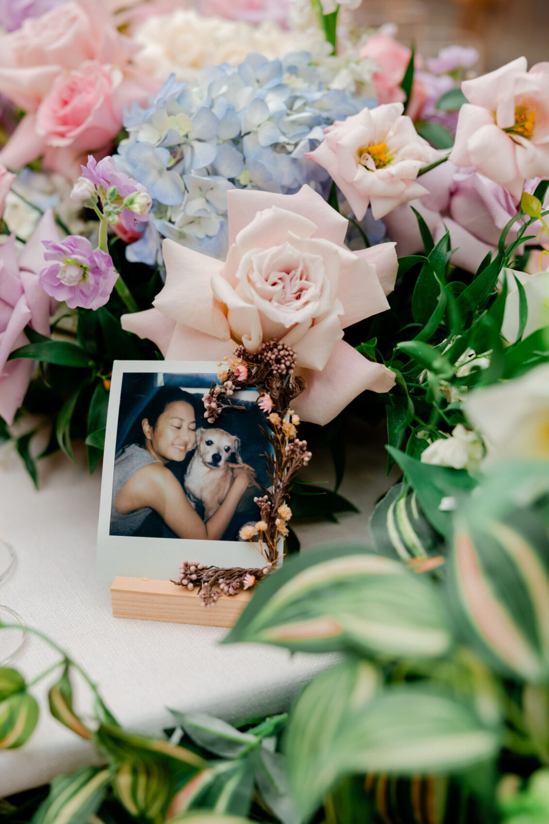 A photo of a smiling woman hugging a small dog is displayed among pink ...