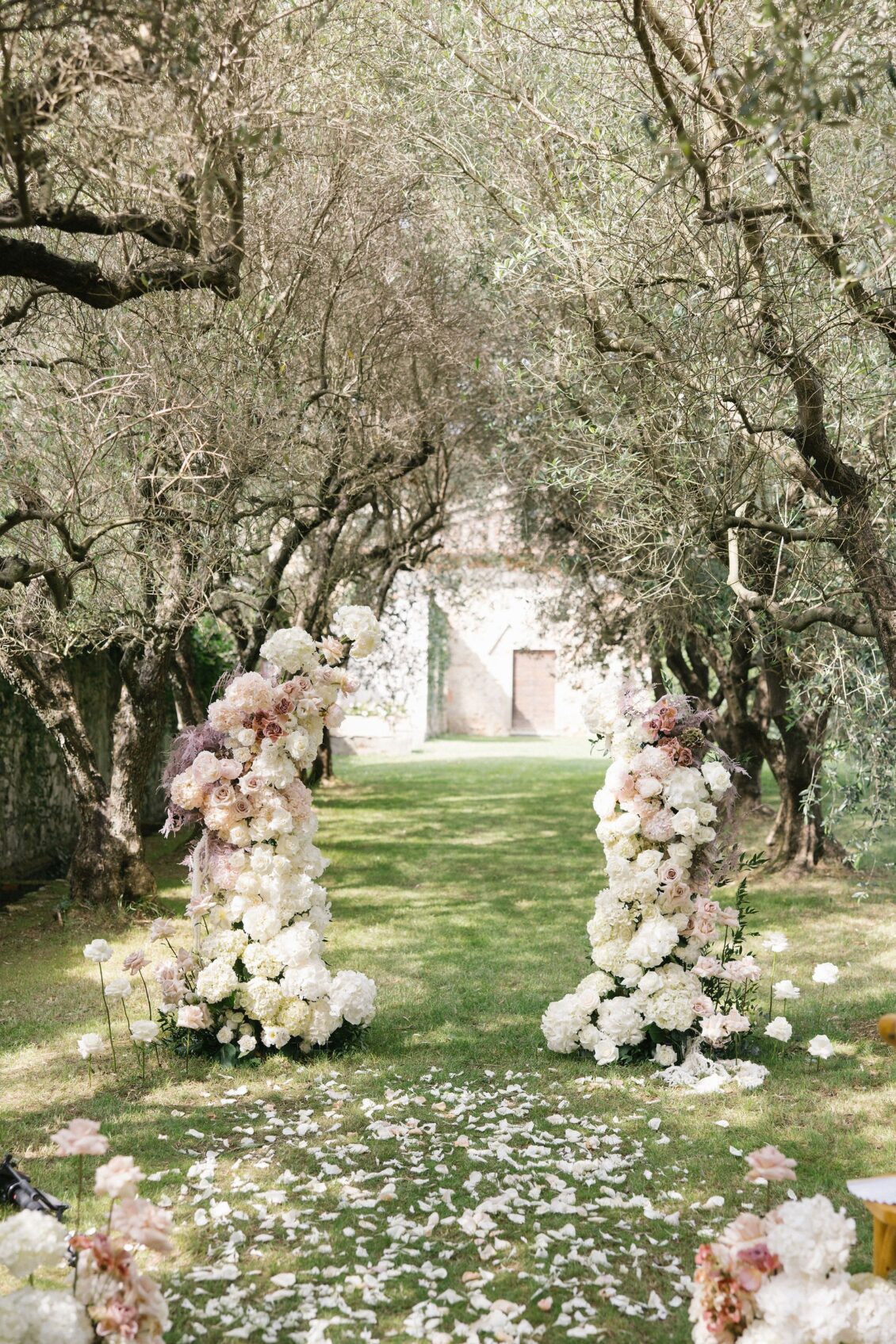 Blush and white floral ceremony arch beneath the Tuscan olive trees
