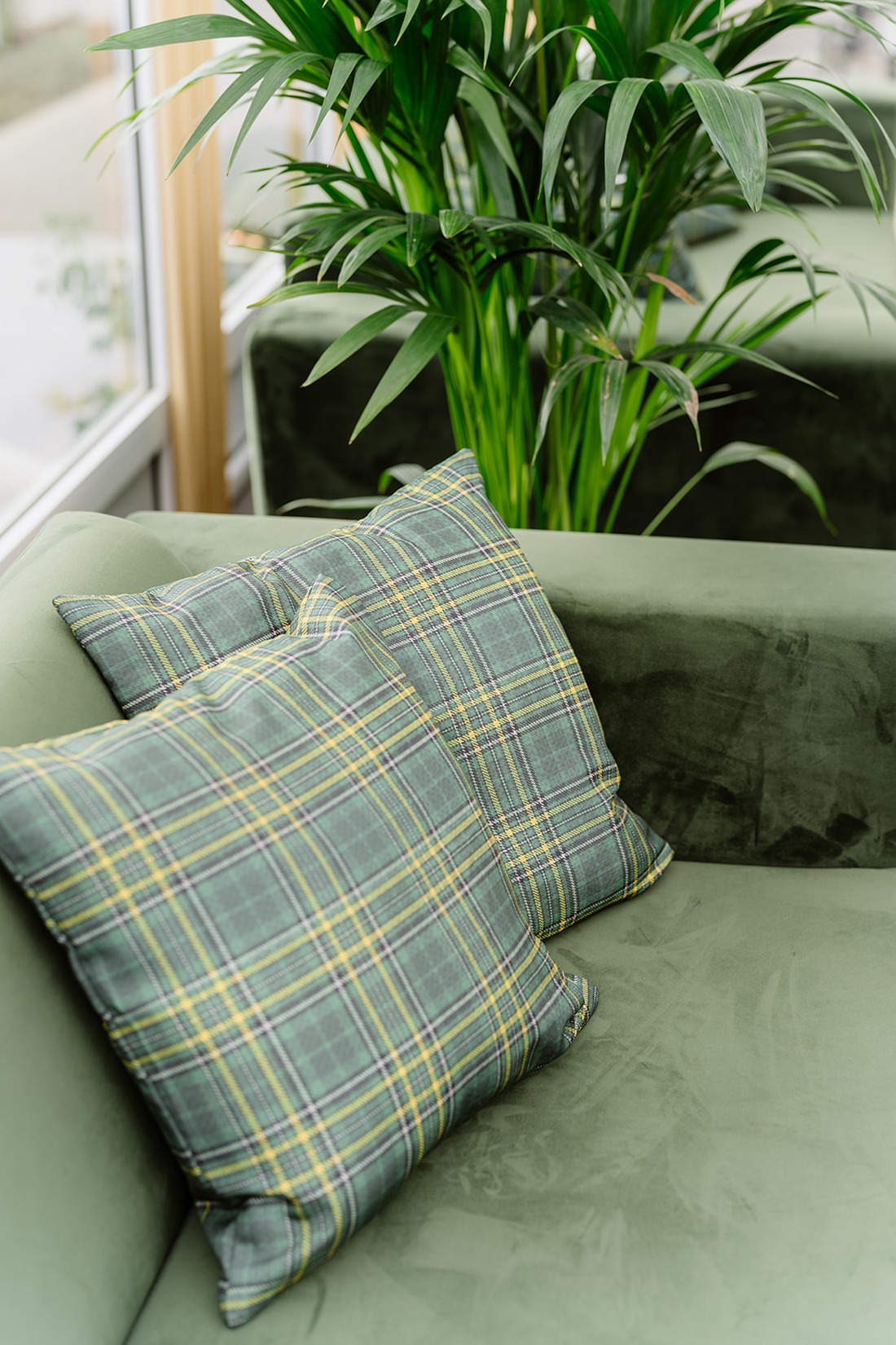 Two green plaid cushions sit on a green velvet sofa with a leafy green plant in the background near a window, evoking the timeless elegance of an Irish castle wedding at Ashford Castle.
